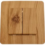 Выключатель 2-кл. СП Blanca 10А IP20 (сх. 5) 250В ясень SE BLNVS010505