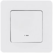 Переключатель 1-кл. Inspiria 10А IP20 250В 10AX с подсветкой / индикацией механизм бел. Leg 673660