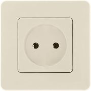 Розетка 1-м СП Inspiria 16А IP20 250В 2P механизм сл. кость Leg 673711