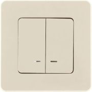 Выключатель 2-кл. Inspiria 10А IP20 250В 10AX с подсветкой/индикацией механизм сл. кость Leg 673631